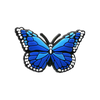 Pin's Papillons Bleu